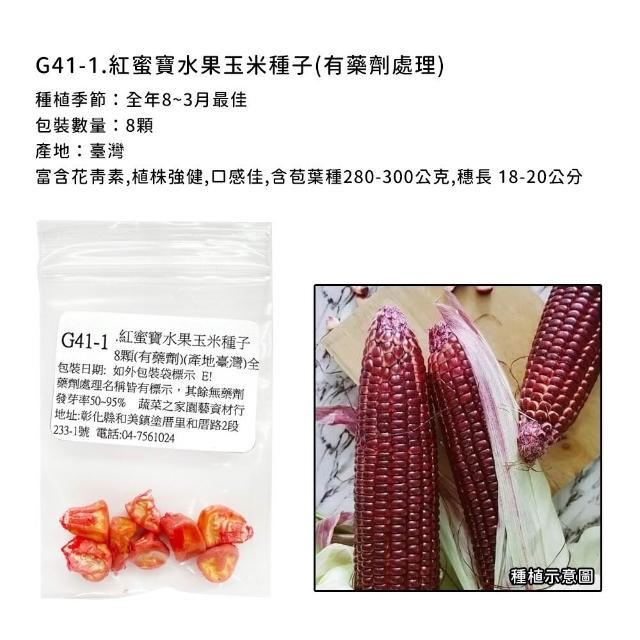 【蔬菜工坊】玉米種子系列-各包裝數量詳見內文及圖片說明(水果玉米 玉米筍 糯玉米 超甜玉米)