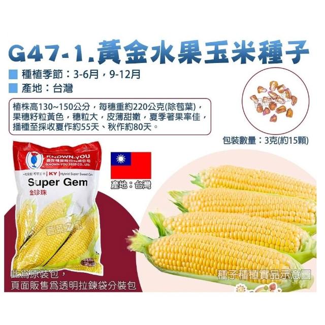 【蔬菜工坊】玉米種子系列-各包裝數量詳見內文及圖片說明(水果玉米 玉米筍 糯玉米 超甜玉米)