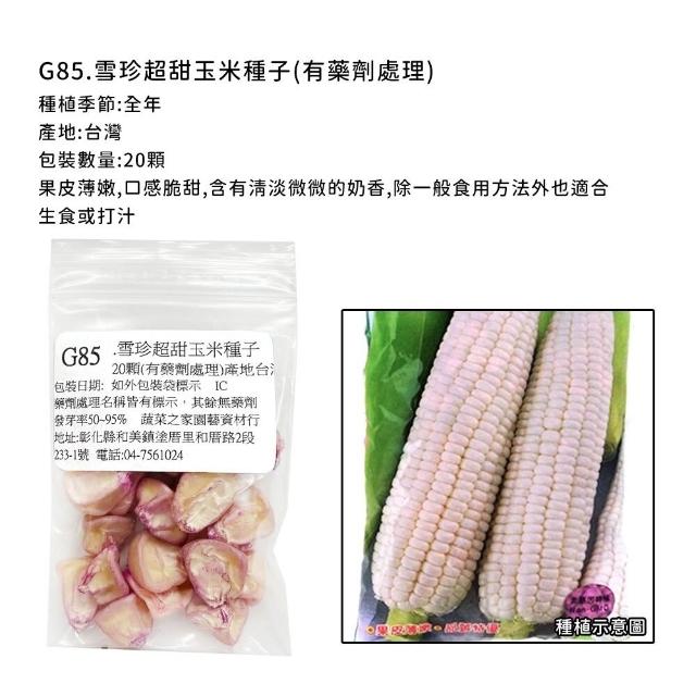 【蔬菜工坊】玉米種子系列-各包裝數量詳見內文及圖片說明(水果玉米 玉米筍 糯玉米 超甜玉米)
