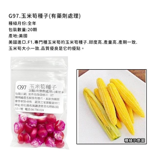 【蔬菜工坊】玉米種子系列-各包裝數量詳見內文及圖片說明(水果玉米 玉米筍 糯玉米 超甜玉米)