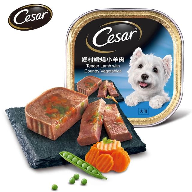 【Cesar 西莎】精緻/風味餐盒 100g*96入(狗罐/犬餐盒/熟齡犬/全齡適用)