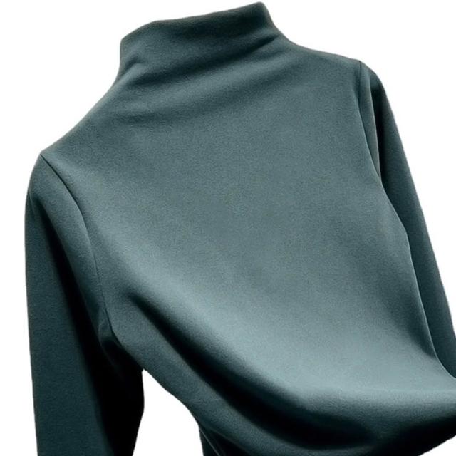 【D.studio】韓版薄內刷毛高領長袖上衣(衣服保暖上衣冬天女裝秋冬女裝長袖t恤高領內搭 W321)