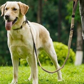 防暴衝反光戰術寵物牽繩(遛狗 狗繩 中大型犬 外出用品 狗鍊 牽引繩 戶外 反光條)