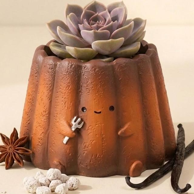 【拼肉肉】拼肉肉人氣明星微型盆栽大集合！1+1 限量任選組 (真實多肉植物盲盒｜保證不重複｜附專用土