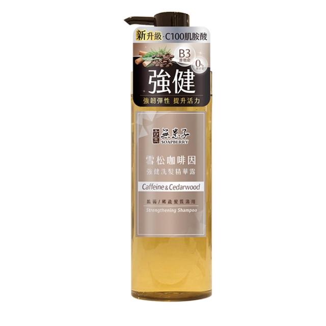 【古寶無患子】髮的能量飲 肌胺酸洗髮530g/柔順髮膜180g(強健髮根/豐盈髮絲/潤澤柔順/控油去屑/無矽靈)