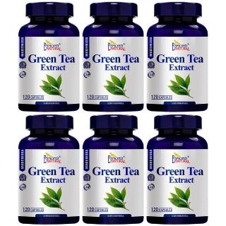 【Esmond Natural 愛司盟】綠茶菁萃膠囊食品6瓶 (120顆/瓶)